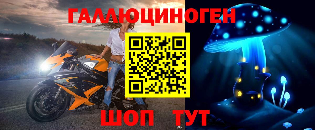 Магадан  Псилоцибиновые грибы Cubensis  хочу наркоту  Вход с VPN 